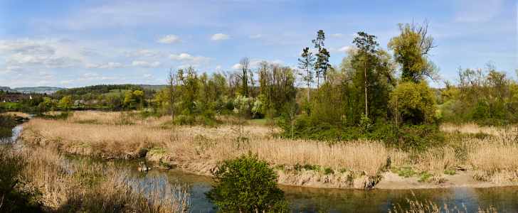 Image 62